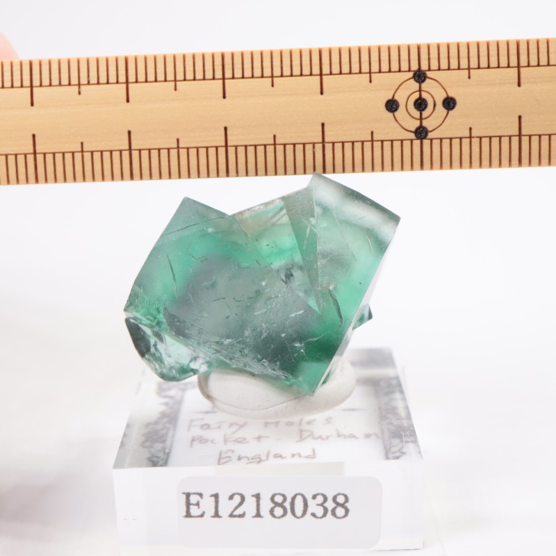 �����ꥹ�� �ե����饤��