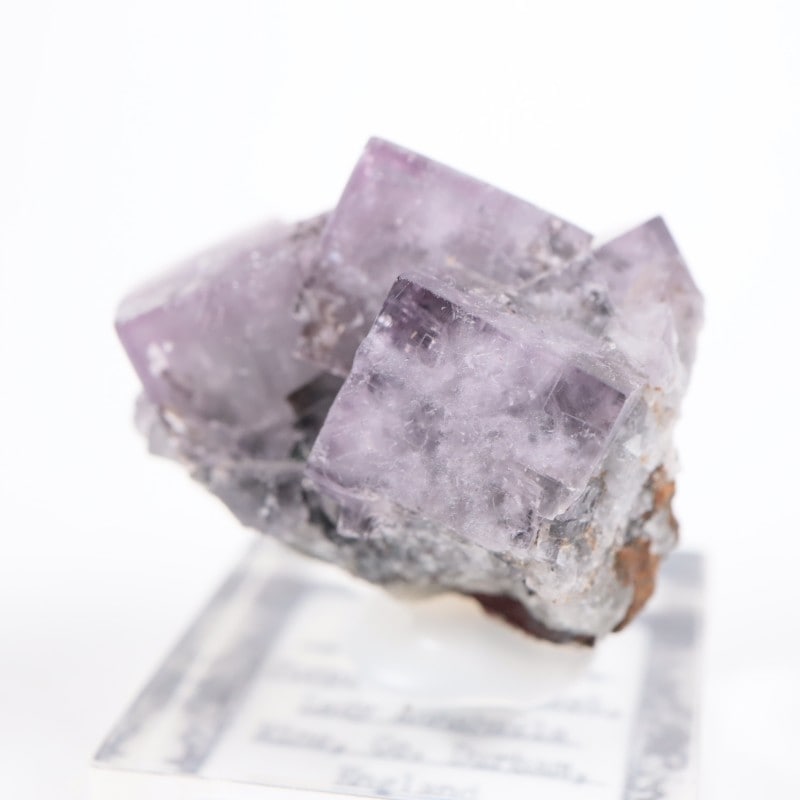 Purple Rain Pocket ե饤