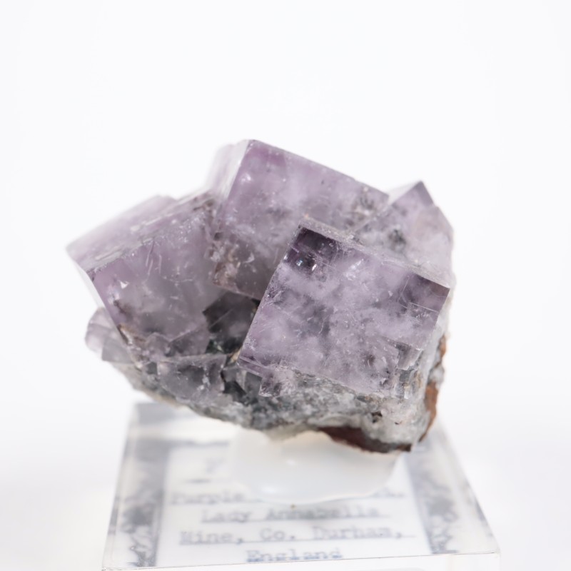 Purple Rain Pocket ե饤