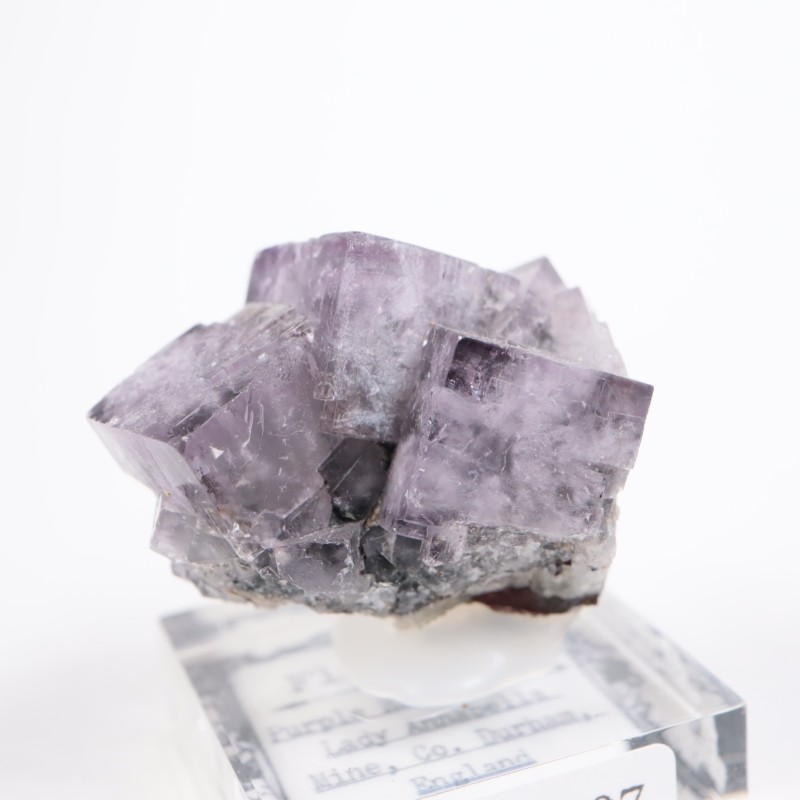 Purple Rain Pocket ե饤