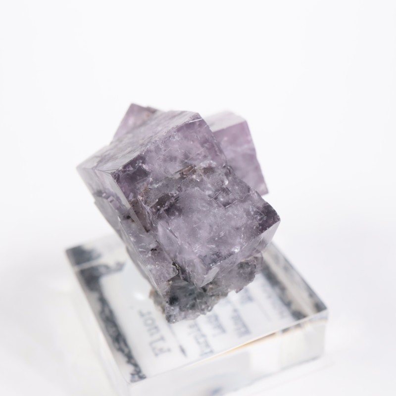 Purple Rain Pocket ե饤