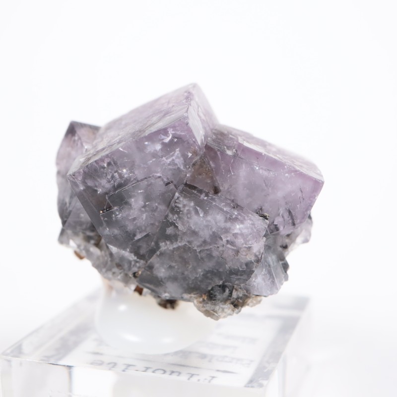 Purple Rain Pocket ե饤