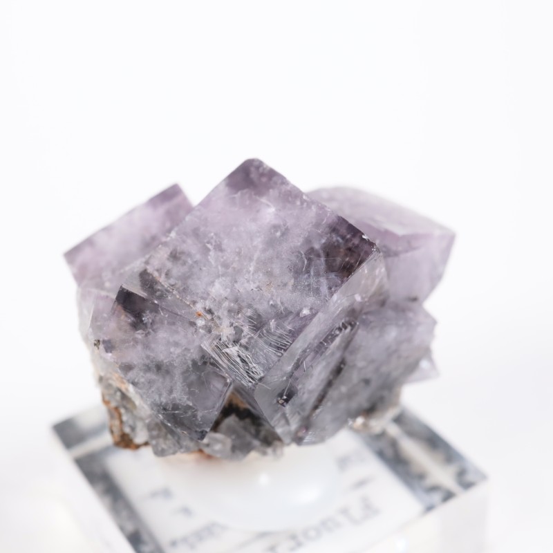 Purple Rain Pocket ե饤