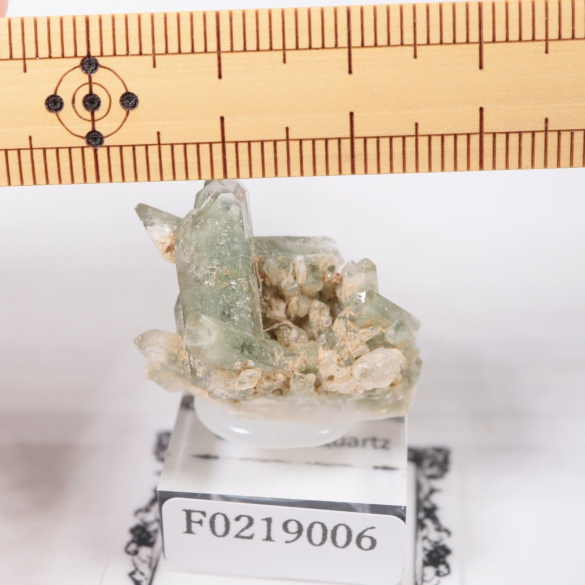 �ѥ������� �������饤�ȥ��󥯥�����