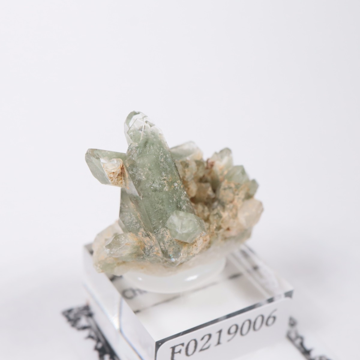 �ѥ������� �������饤�ȥ��󥯥�����