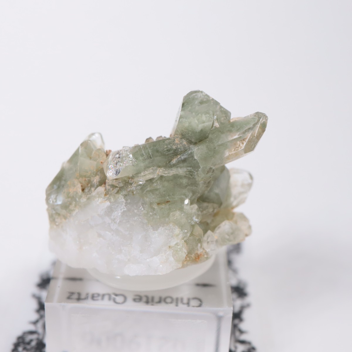 �ѥ������� �������饤�ȥ��󥯥�����