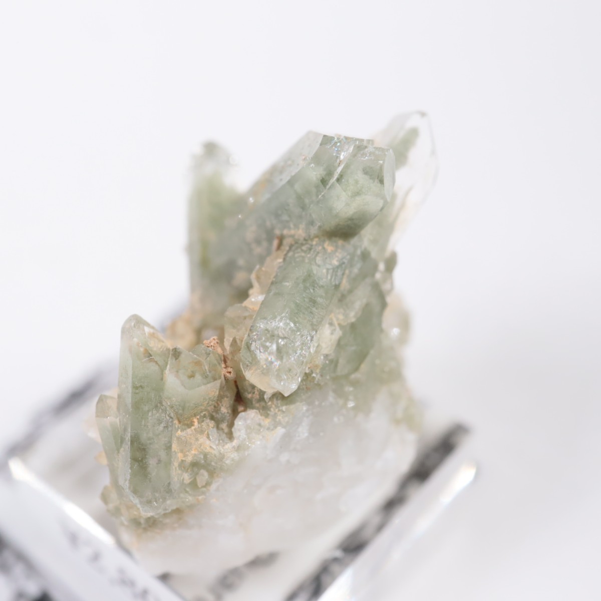 �ѥ������� �������饤�ȥ��󥯥�����