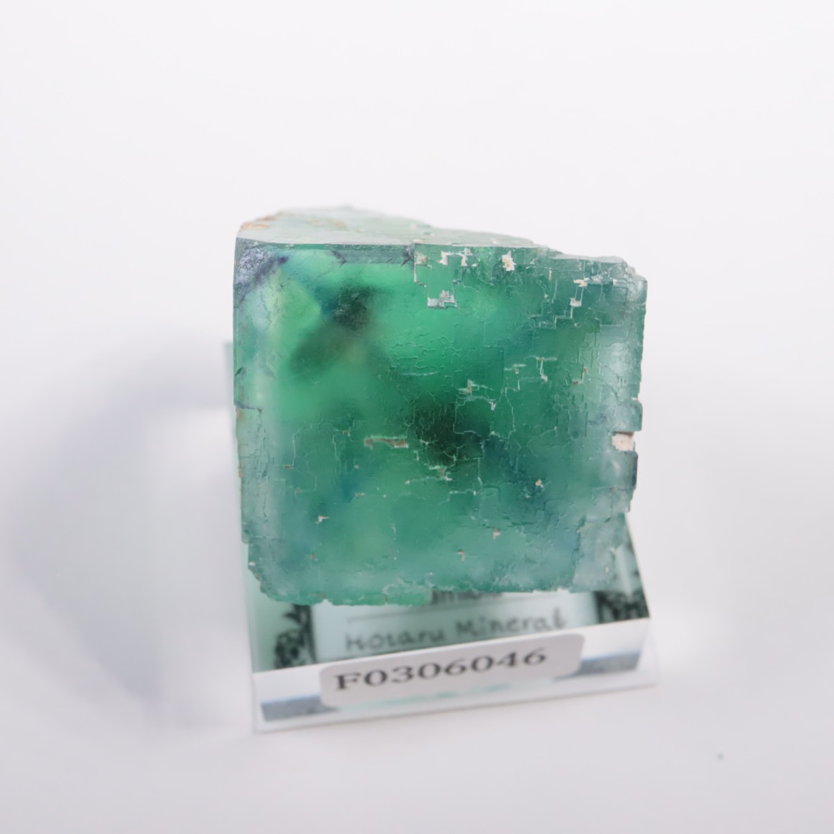 �����륹�ۻ��� �ե����饤��