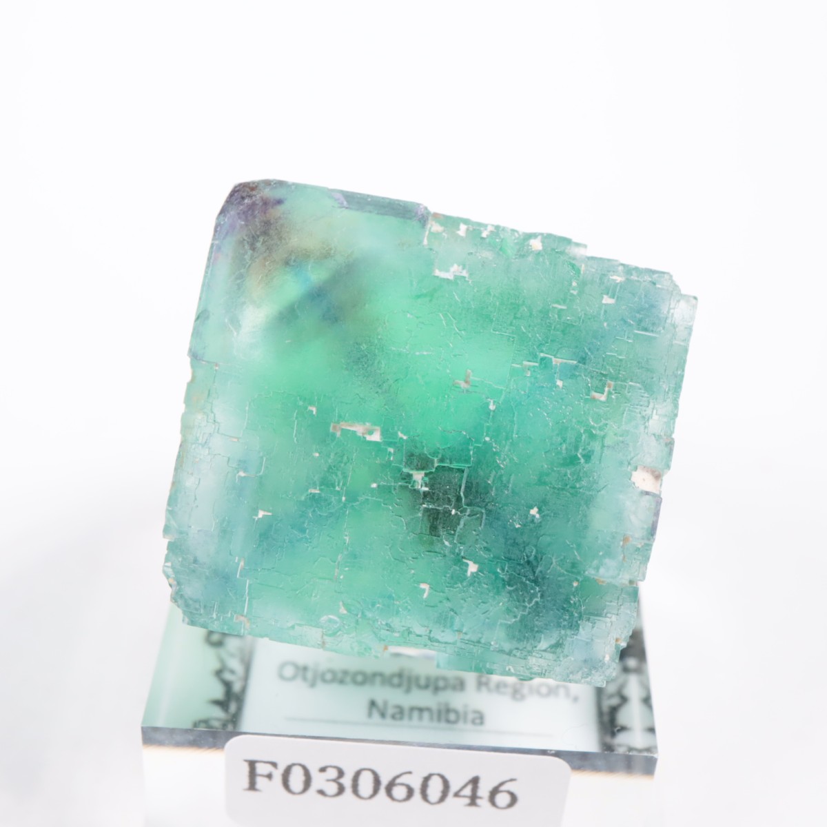 �����륹�ۻ��� �ե����饤��