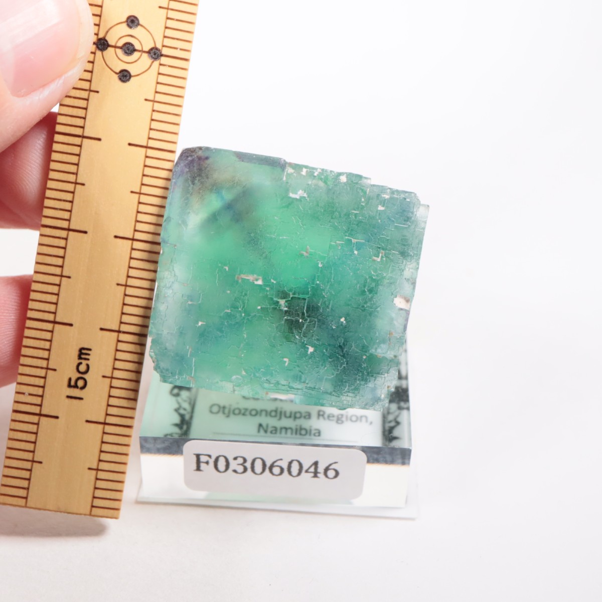 �����륹�ۻ��� �ե����饤��