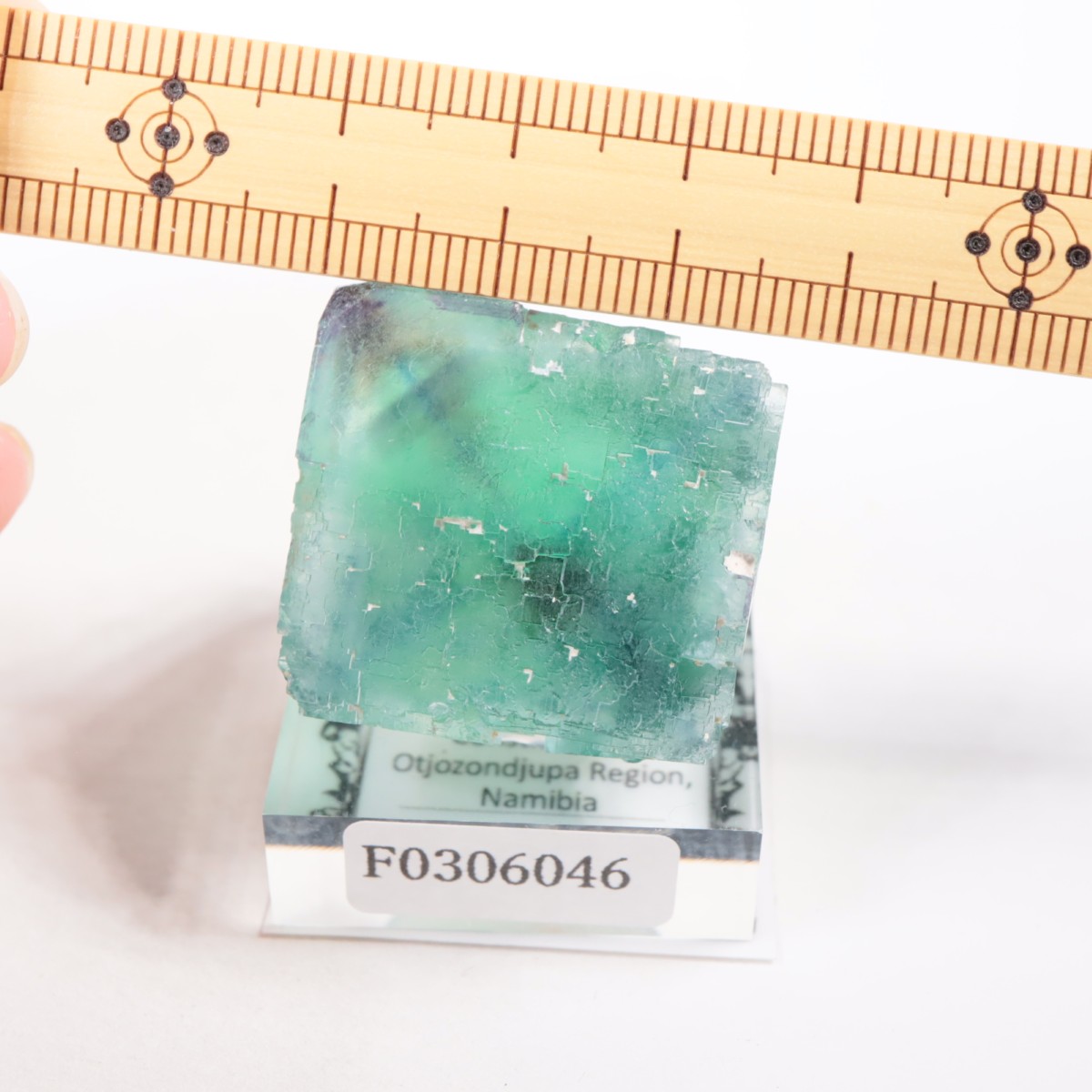 �����륹�ۻ��� �ե����饤��