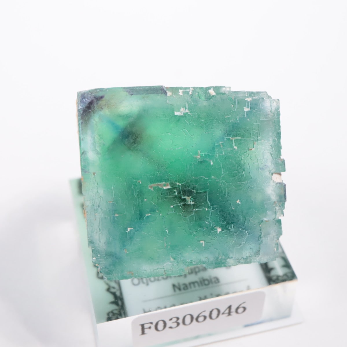 �����륹�ۻ��� �ե����饤��