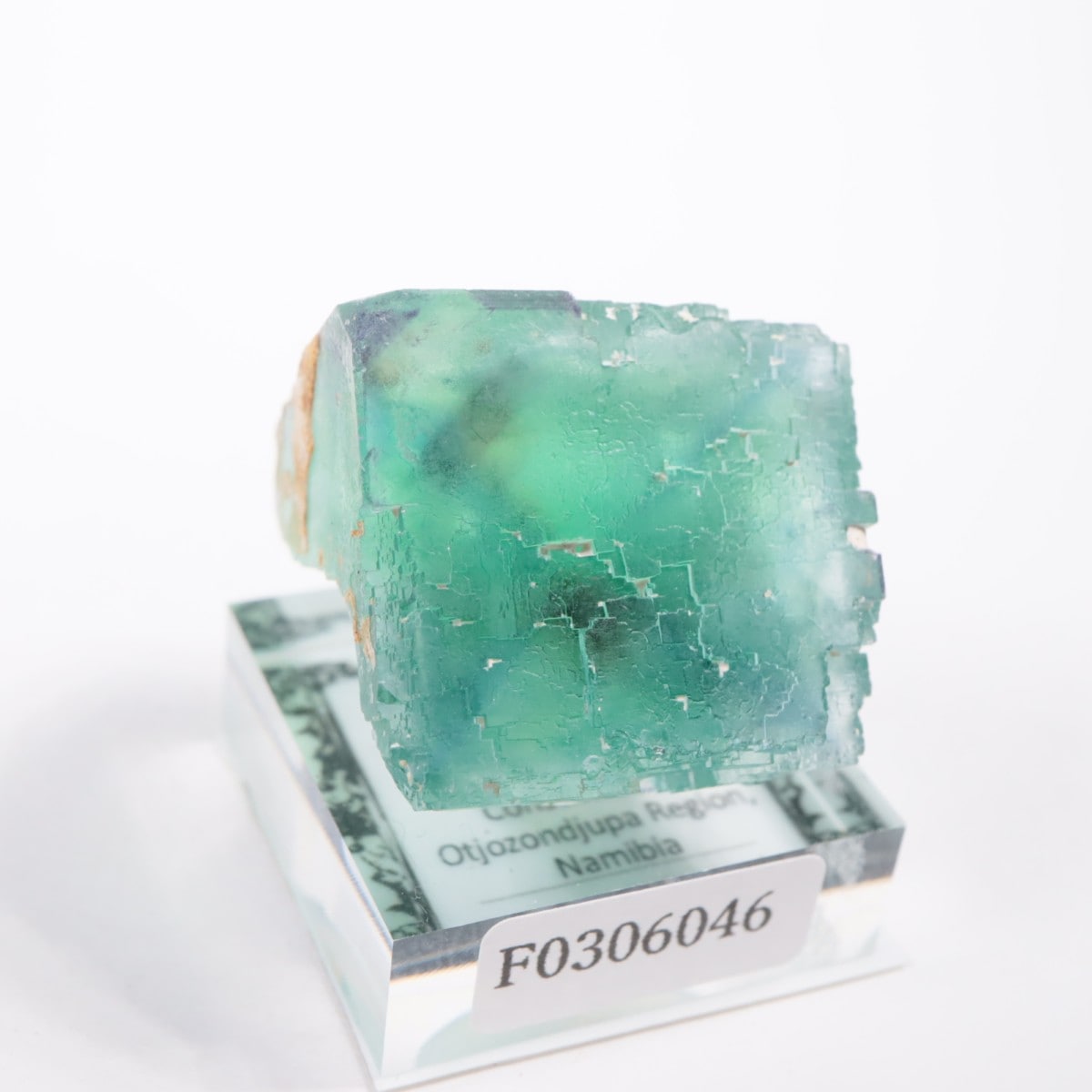 �����륹�ۻ��� �ե����饤��