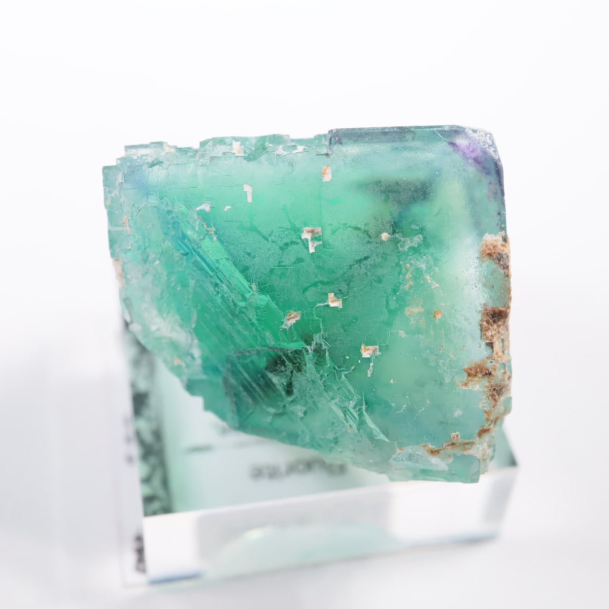 �����륹�ۻ��� �ե����饤��