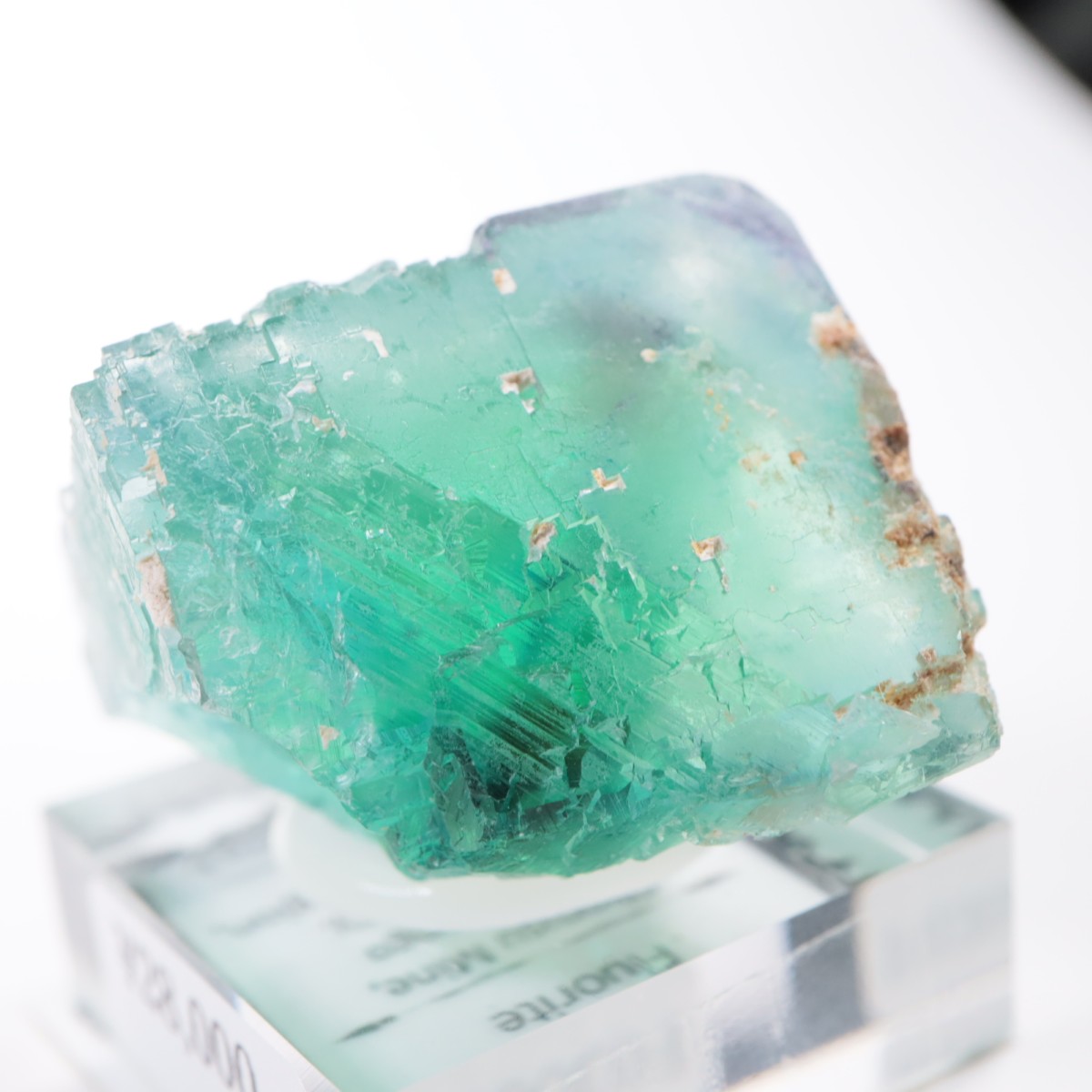 �����륹�ۻ��� �ե����饤��