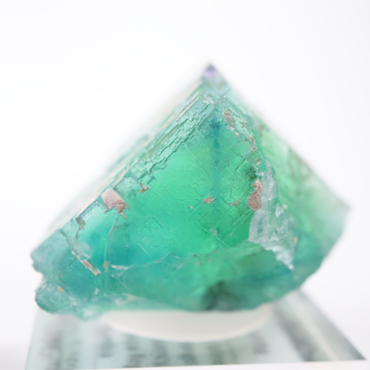 �����륹�ۻ��� �ե����饤��