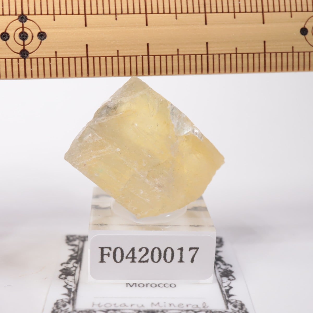 El Hammam鉱山産 フローライト | 鉱物標本,ハ行,フローライト/蛍石