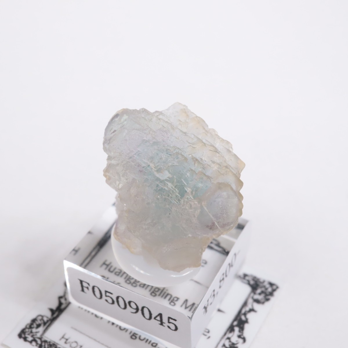 ���󥴥뻺 �ե����饤��