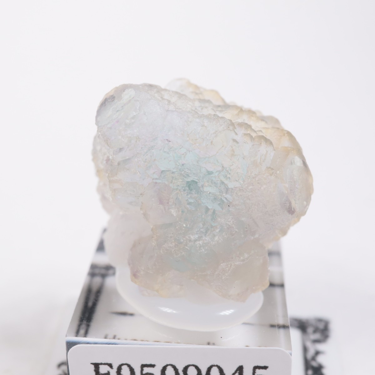 ���󥴥뻺 �ե����饤��