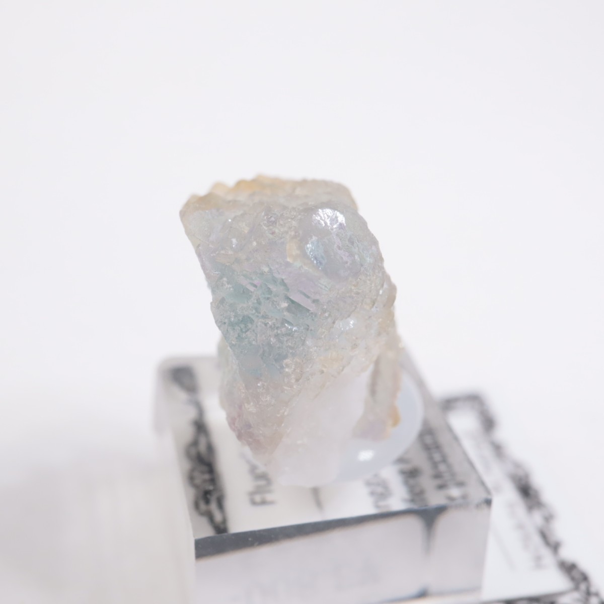 ���󥴥뻺 �ե����饤��