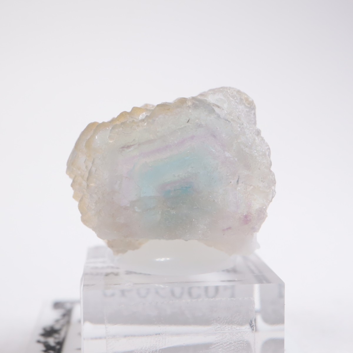 ���󥴥뻺 �ե����饤��