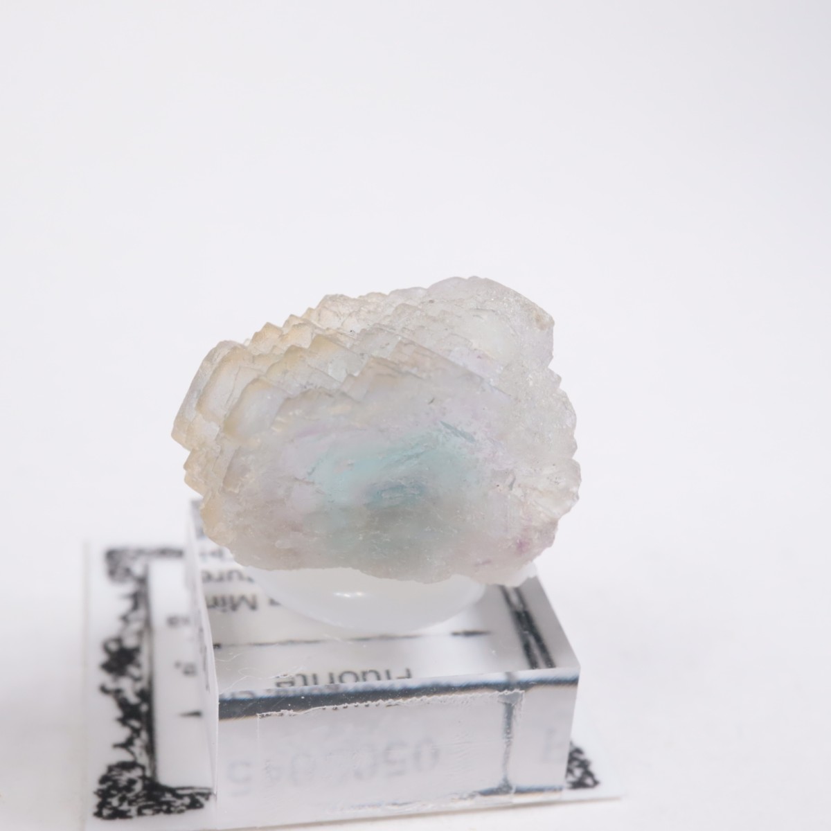 ���󥴥뻺 �ե����饤��