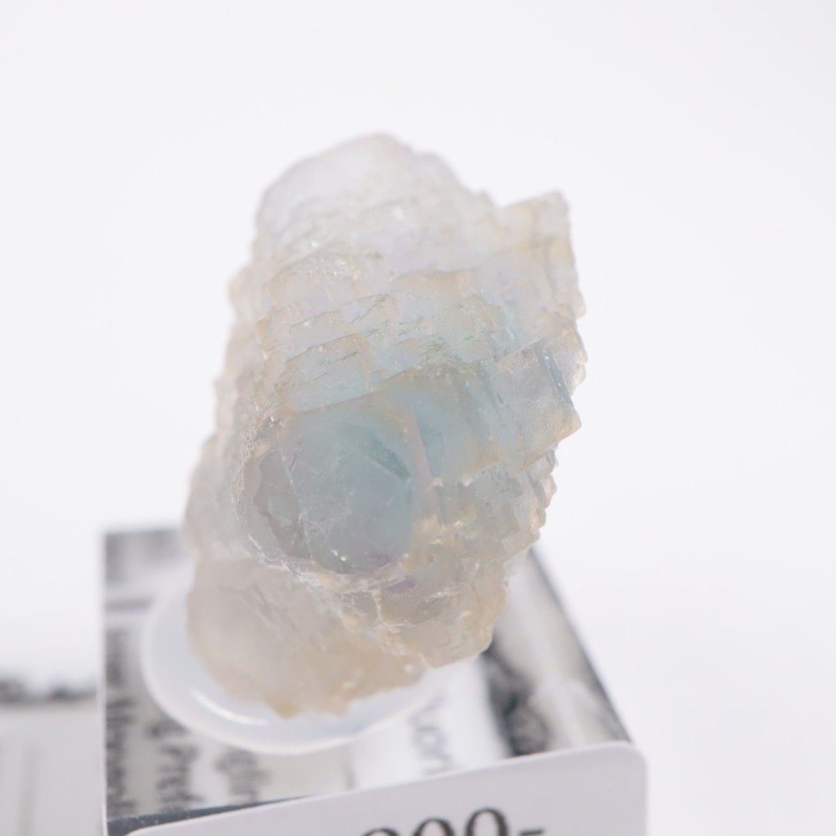 ���󥴥뻺 �ե����饤��