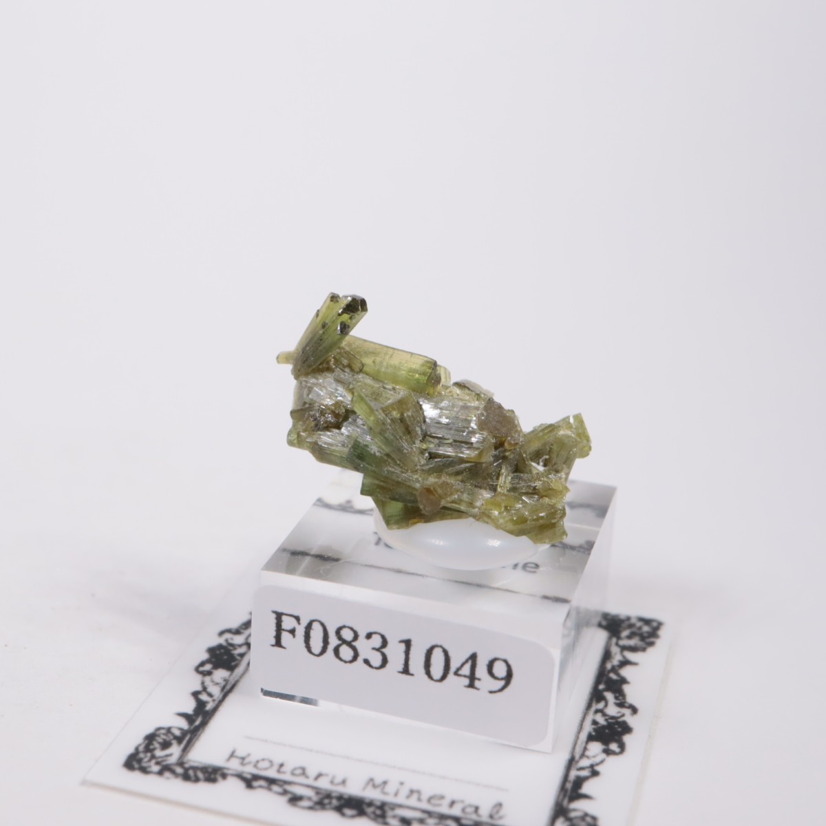 �֥饸�뻺 �ȥ�ޥ��