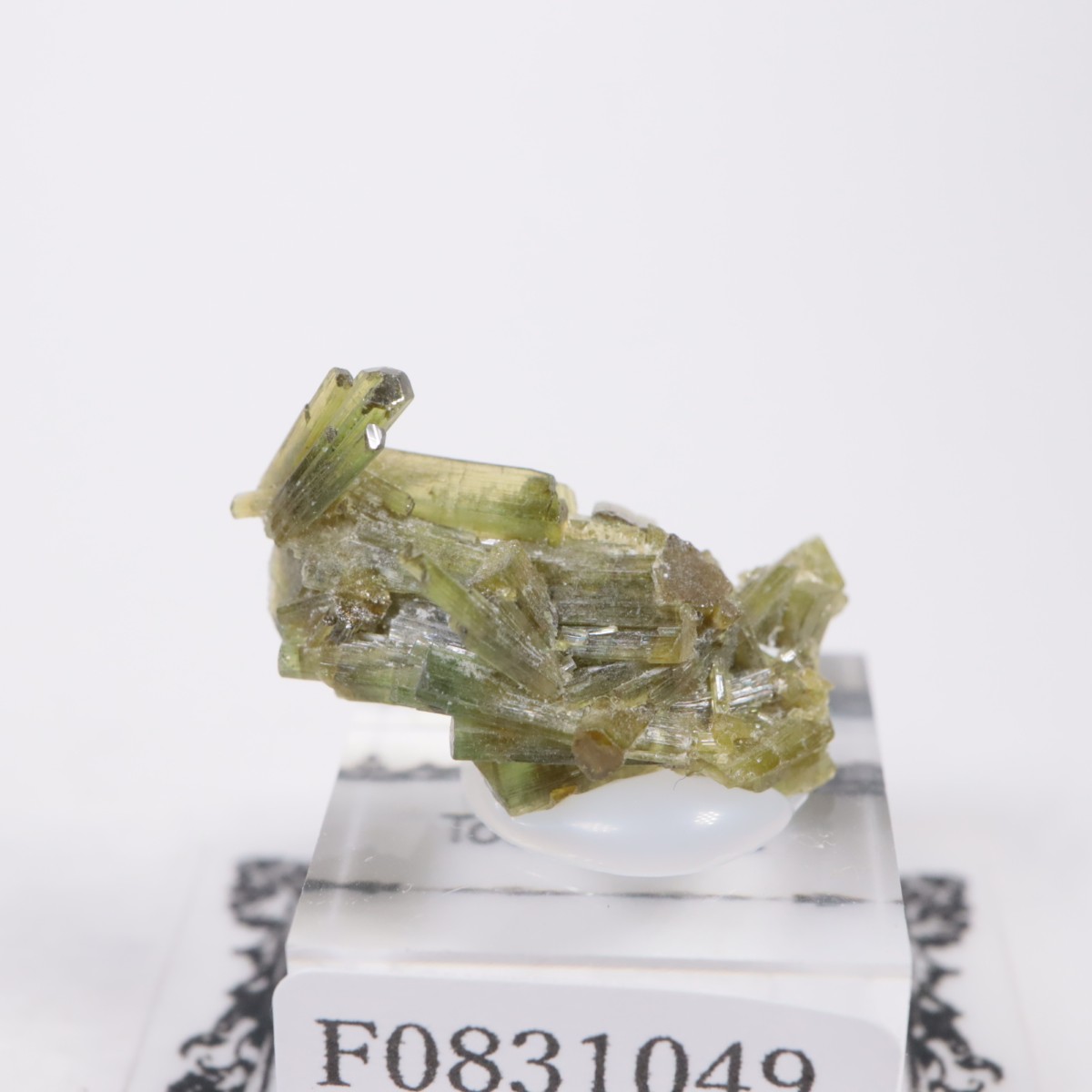 �֥饸�뻺 �ȥ�ޥ��