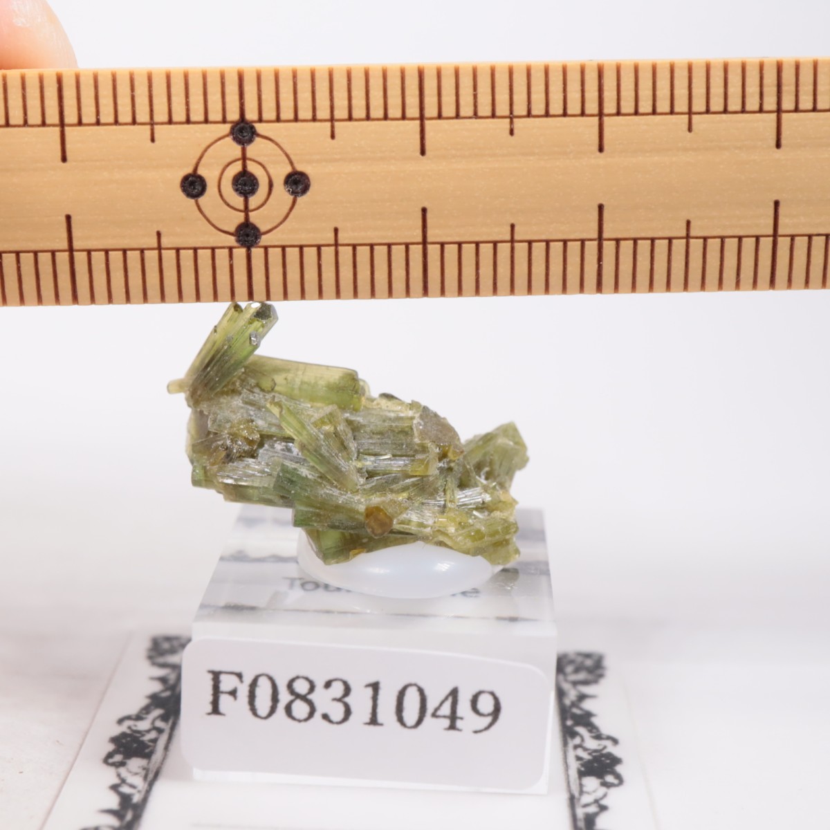 �֥饸�뻺 �ȥ�ޥ��