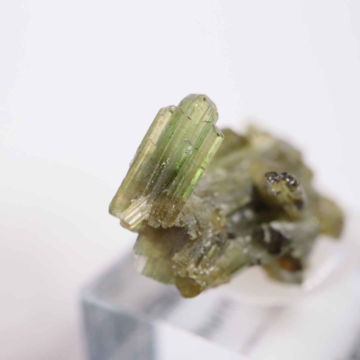 �֥饸�뻺 �ȥ�ޥ��