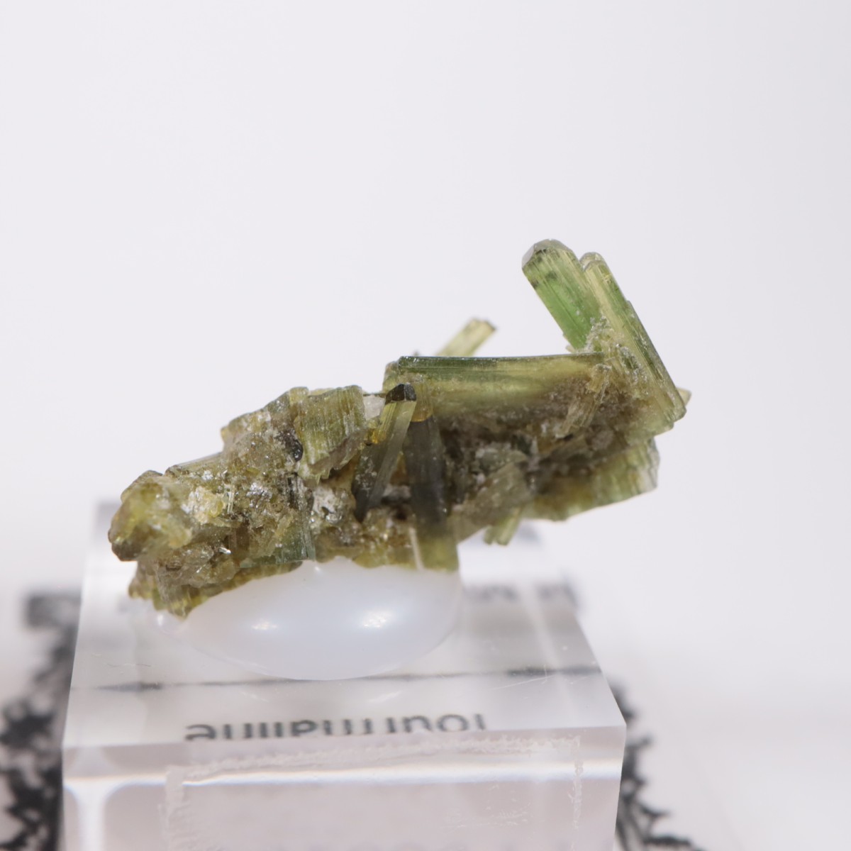 �֥饸�뻺 �ȥ�ޥ��