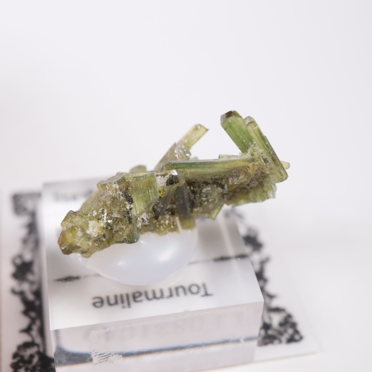 �֥饸�뻺 �ȥ�ޥ��