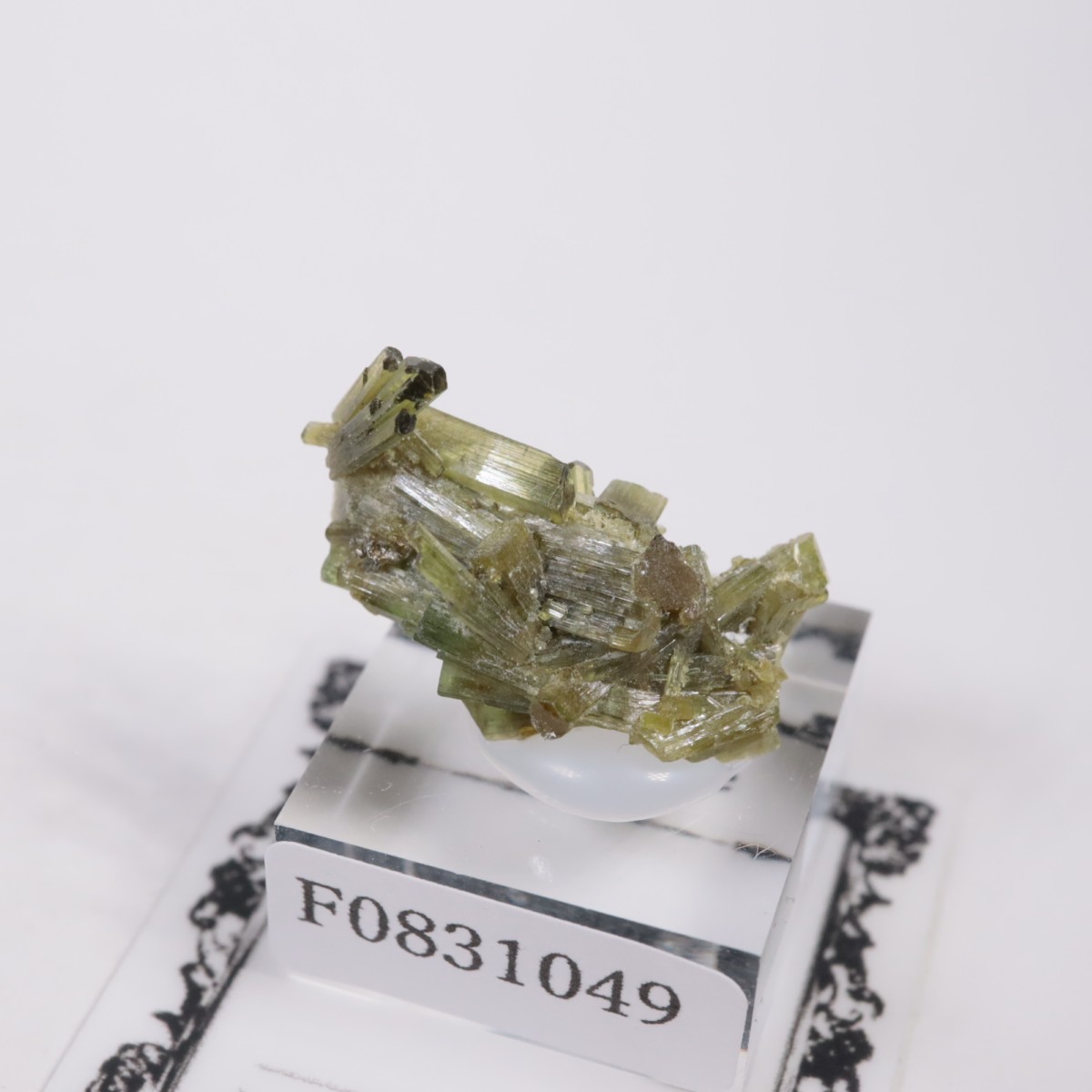 �֥饸�뻺 �ȥ�ޥ��