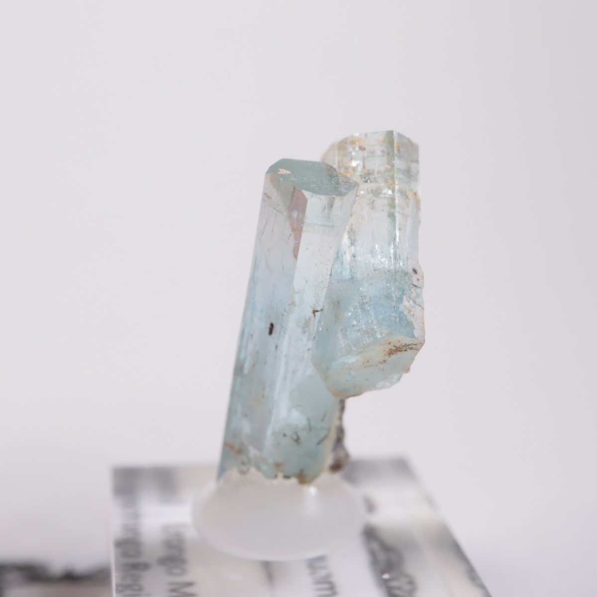 �����󥴹ۻ��� �������ޥ��