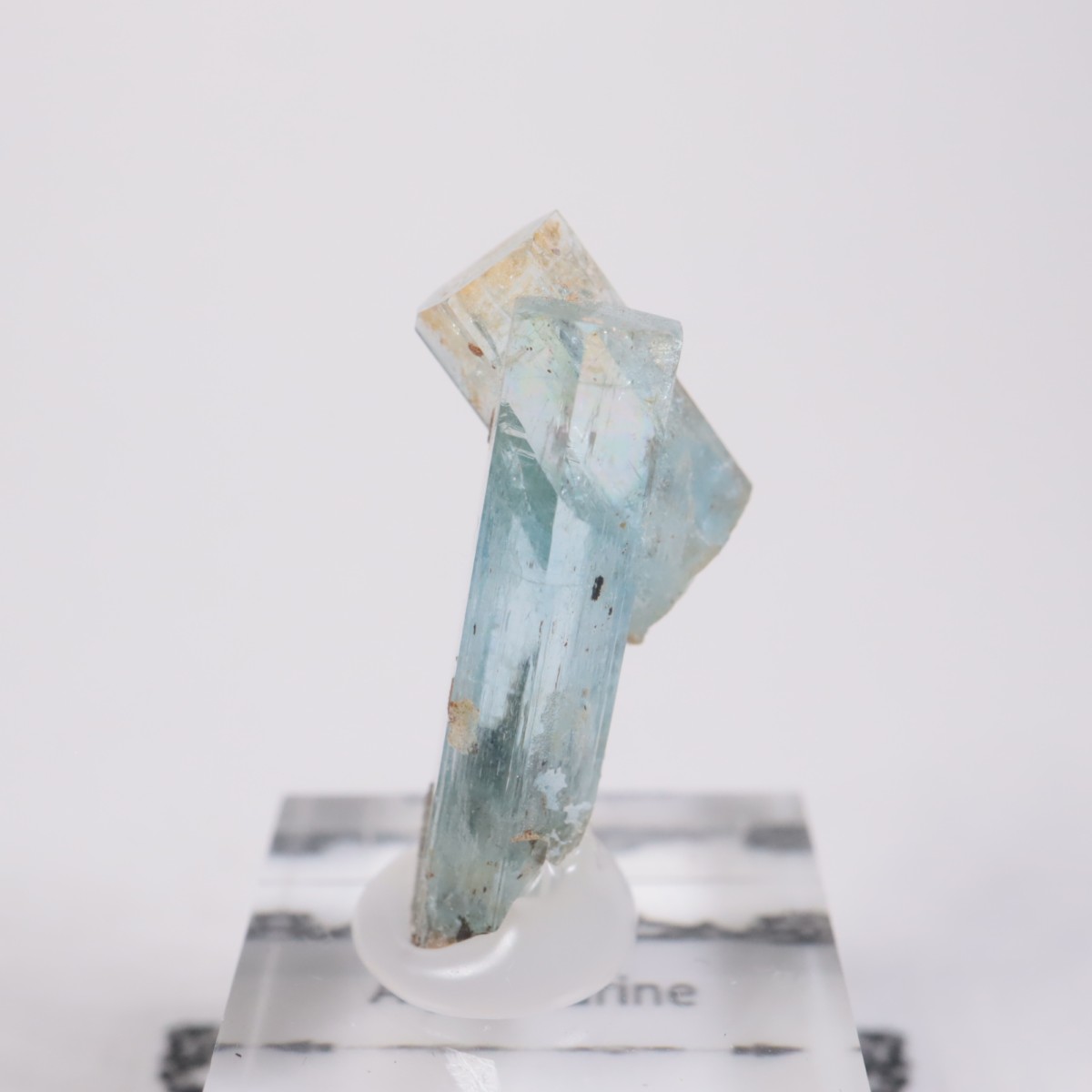 �����󥴹ۻ��� �������ޥ��