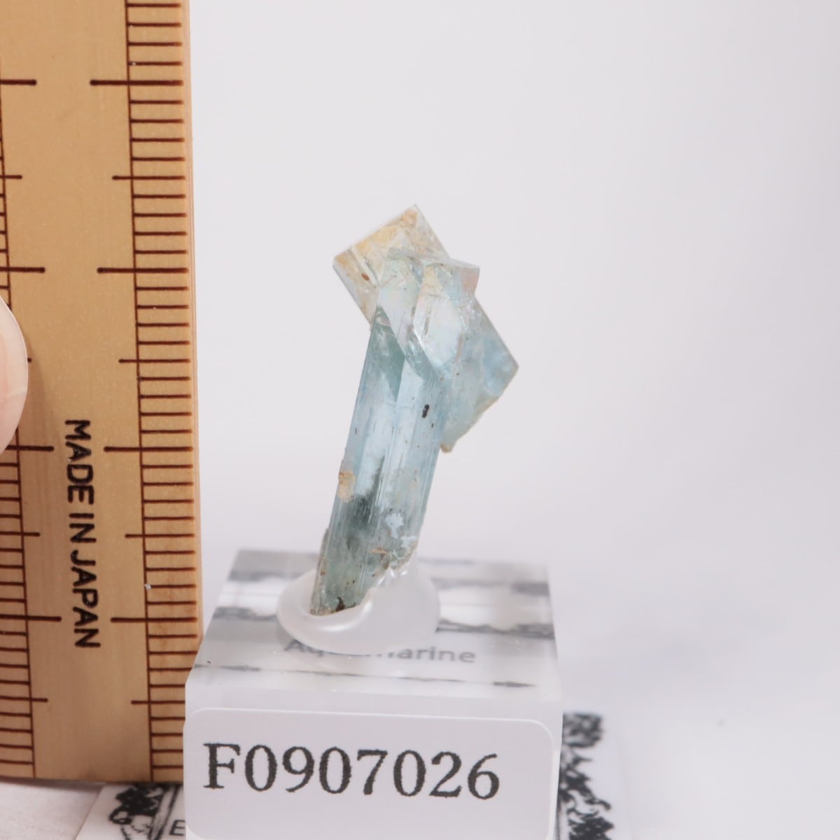 �����󥴹ۻ��� �������ޥ��