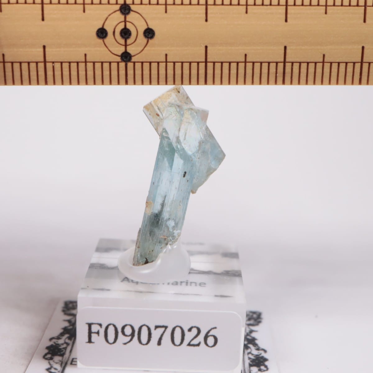 �����󥴹ۻ��� �������ޥ��