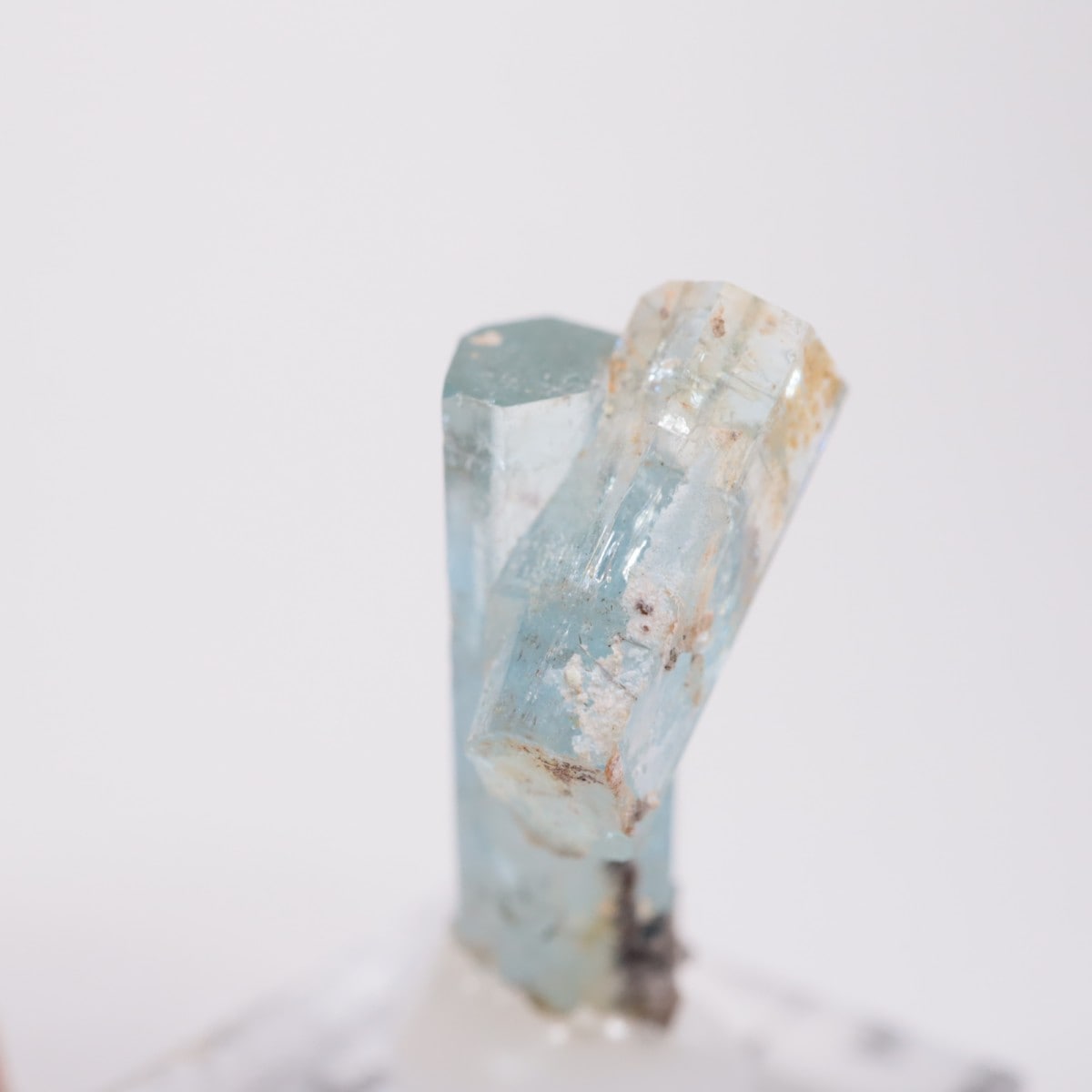 �����󥴹ۻ��� �������ޥ��