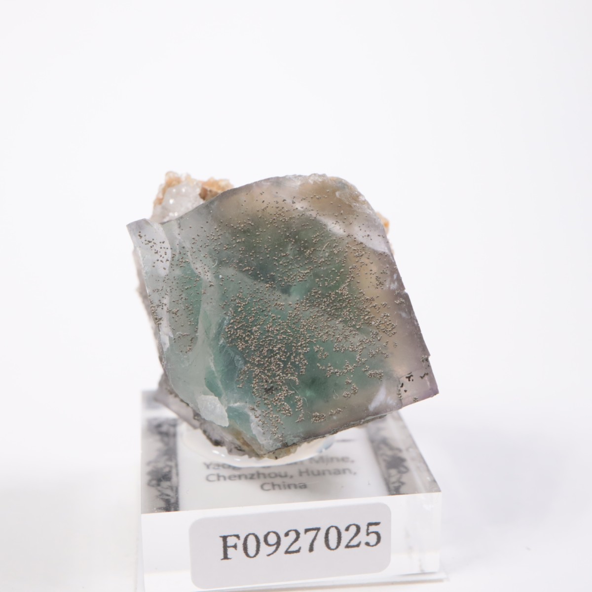 �䥪���󥷥��ۻ��� �ե����饤��