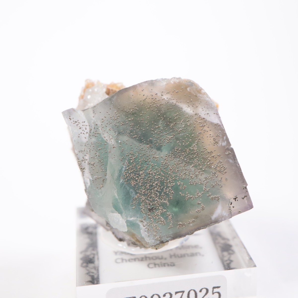 �䥪���󥷥��ۻ��� �ե����饤��