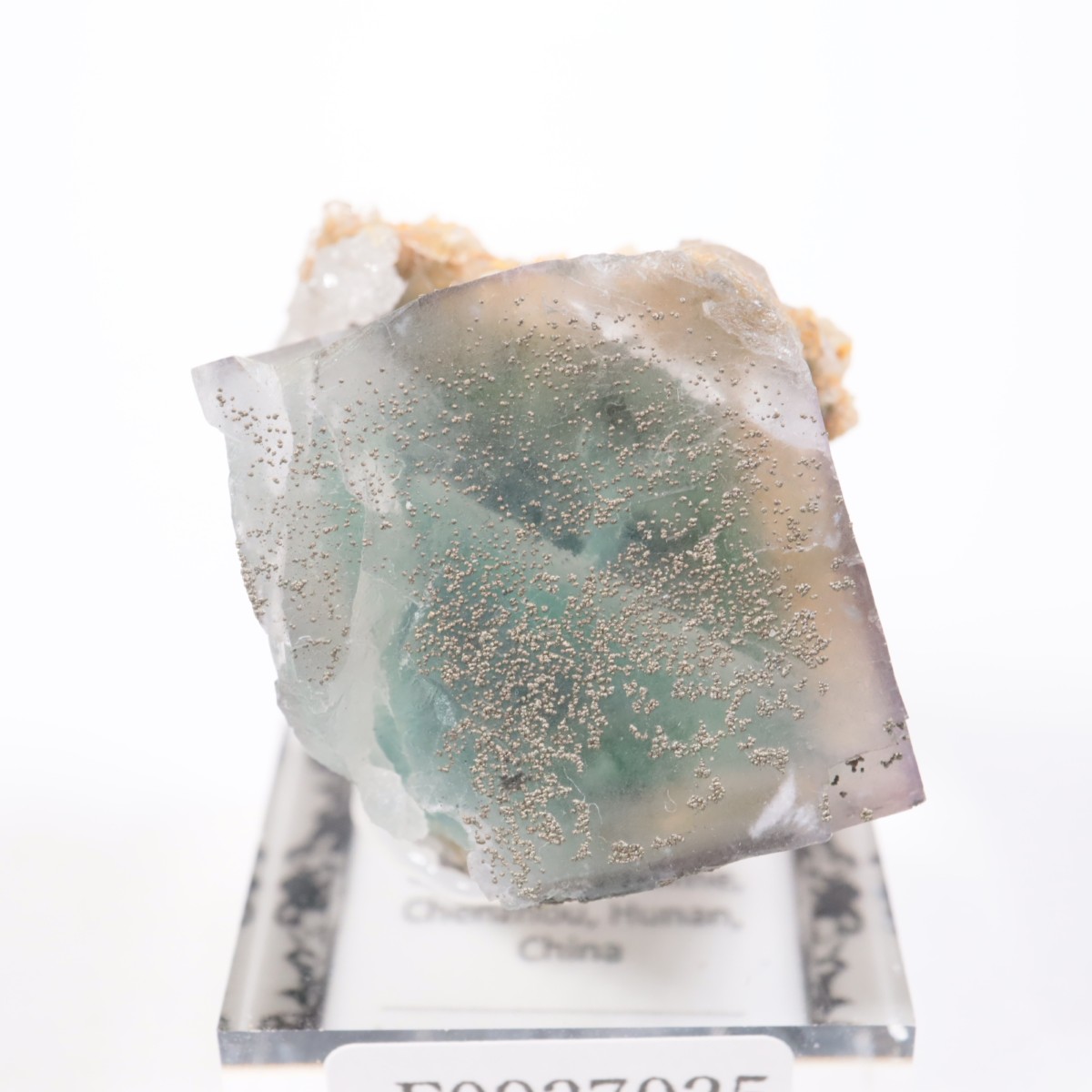 �䥪���󥷥��ۻ��� �ե����饤��