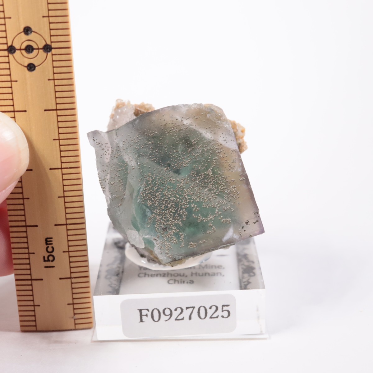 �䥪���󥷥��ۻ��� �ե����饤��