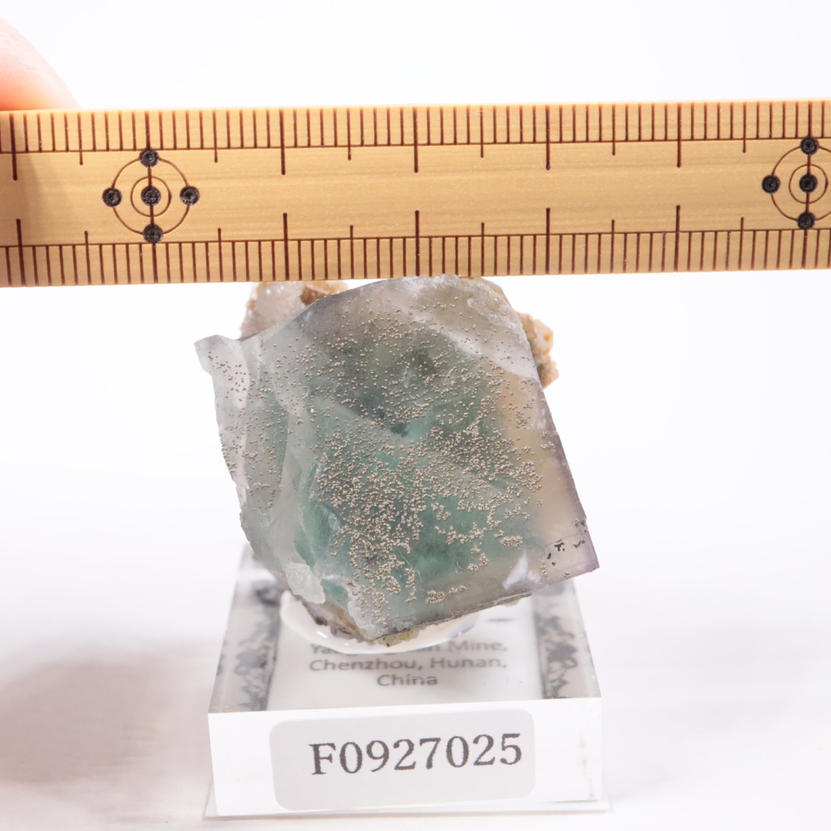 �䥪���󥷥��ۻ��� �ե����饤��