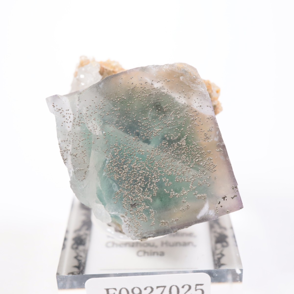 �䥪���󥷥��ۻ��� �ե����饤��