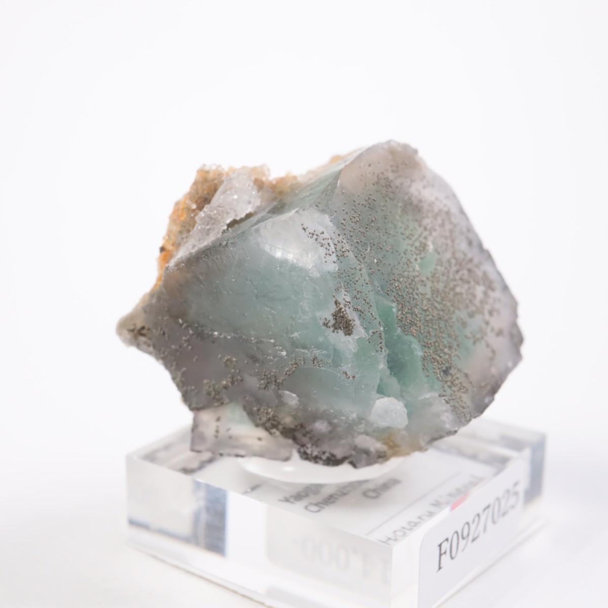 �䥪���󥷥��ۻ��� �ե����饤��