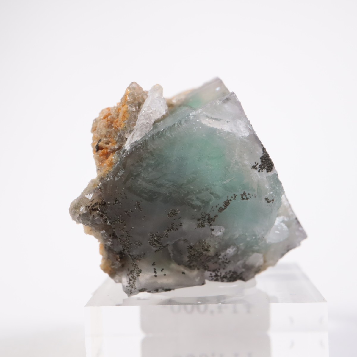 �䥪���󥷥��ۻ��� �ե����饤��