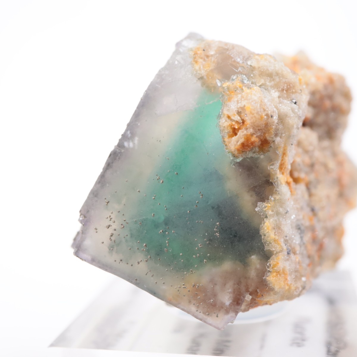 �䥪���󥷥��ۻ��� �ե����饤��