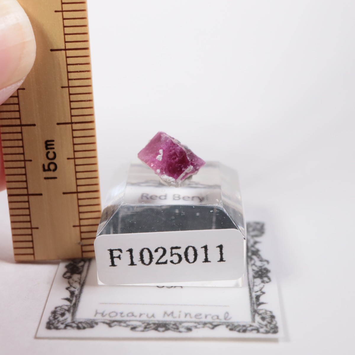 �楿�� ��åɥ٥��