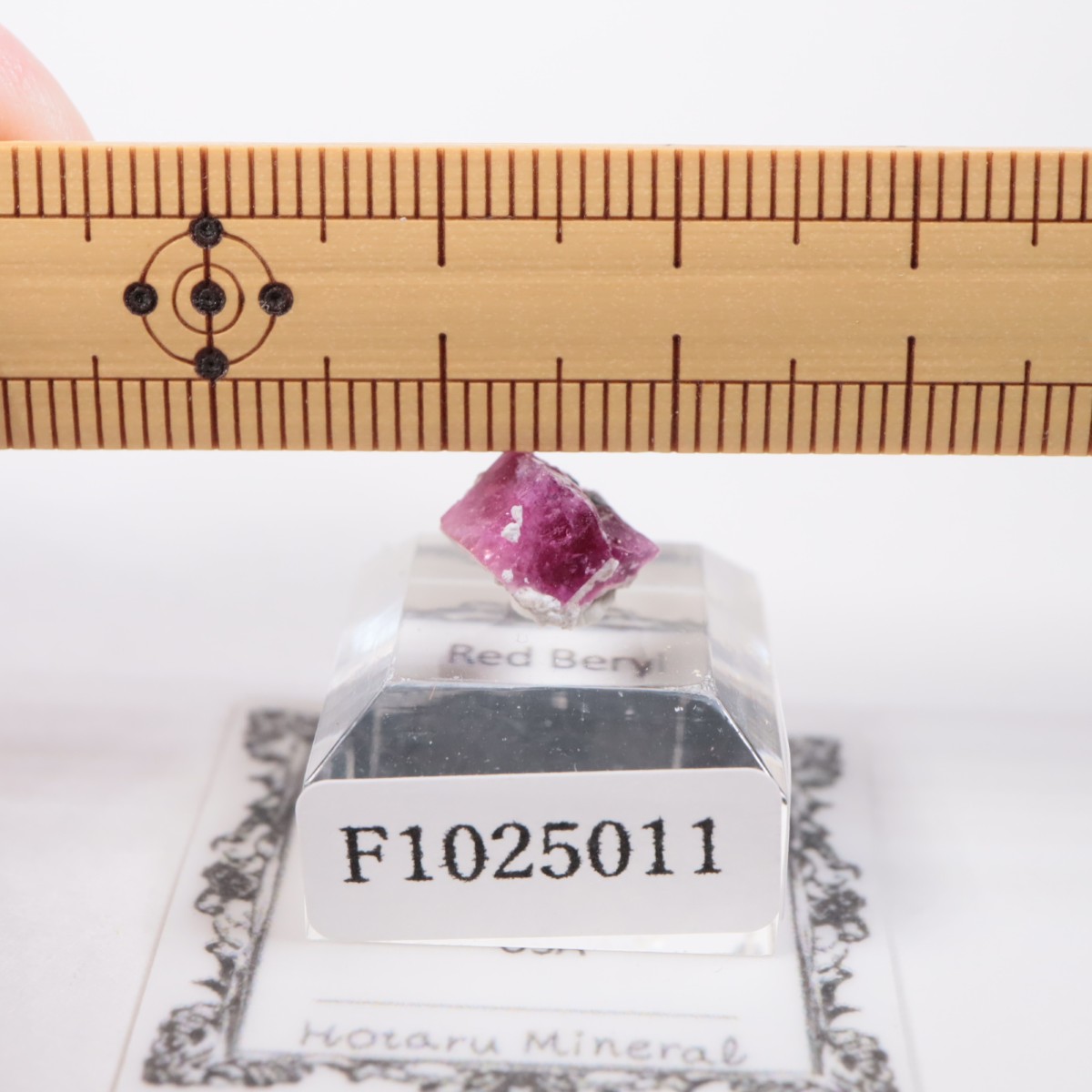 �楿�� ��åɥ٥��